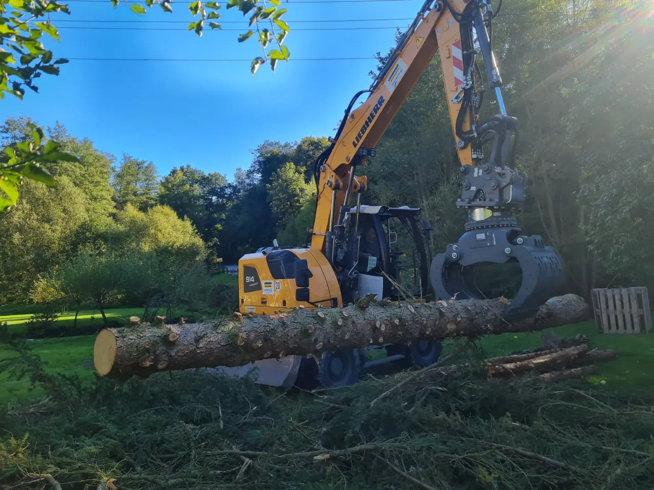 Bagger mit Greifer beim sicheren Transport eines gefällten Baumstamms